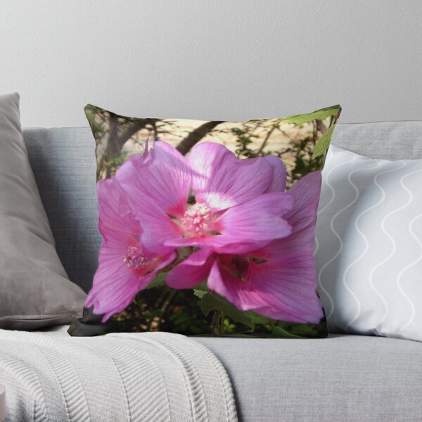 Lavatera triplets Throw Pillow