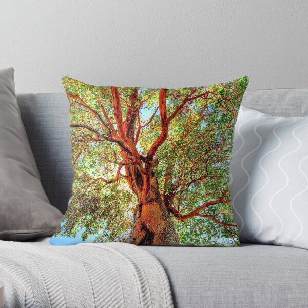 Shimmering Arbutus Throw Pillow