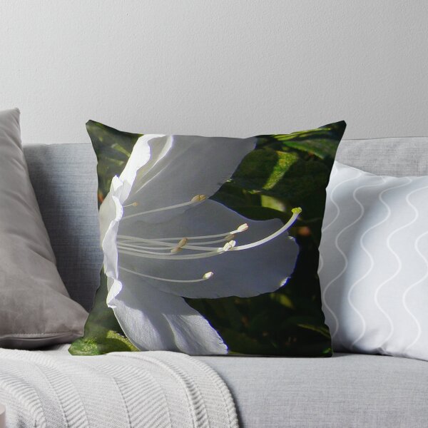 Item preview, Catching the light designed and sold by Vic Cross.