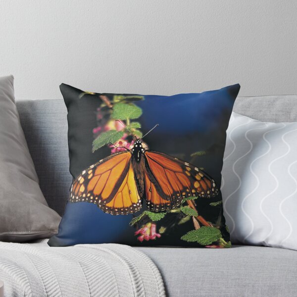 Item preview, Monarch Grove Santuary  •  Pacific Grove designed and sold by Alice Leon.
