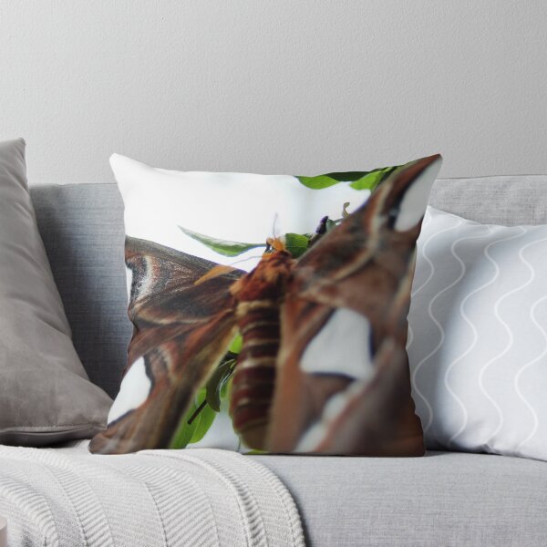 Item preview, Massive Two designed and sold by Jayson Brazell.