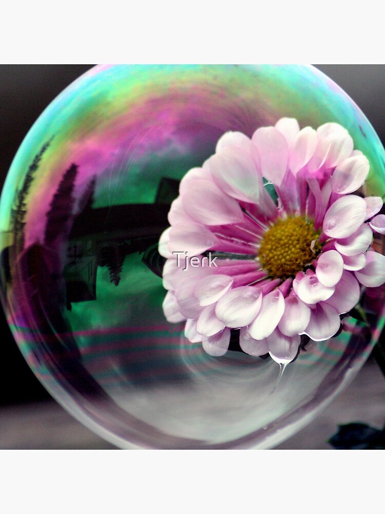 Color flower in a bubble by Tjerk