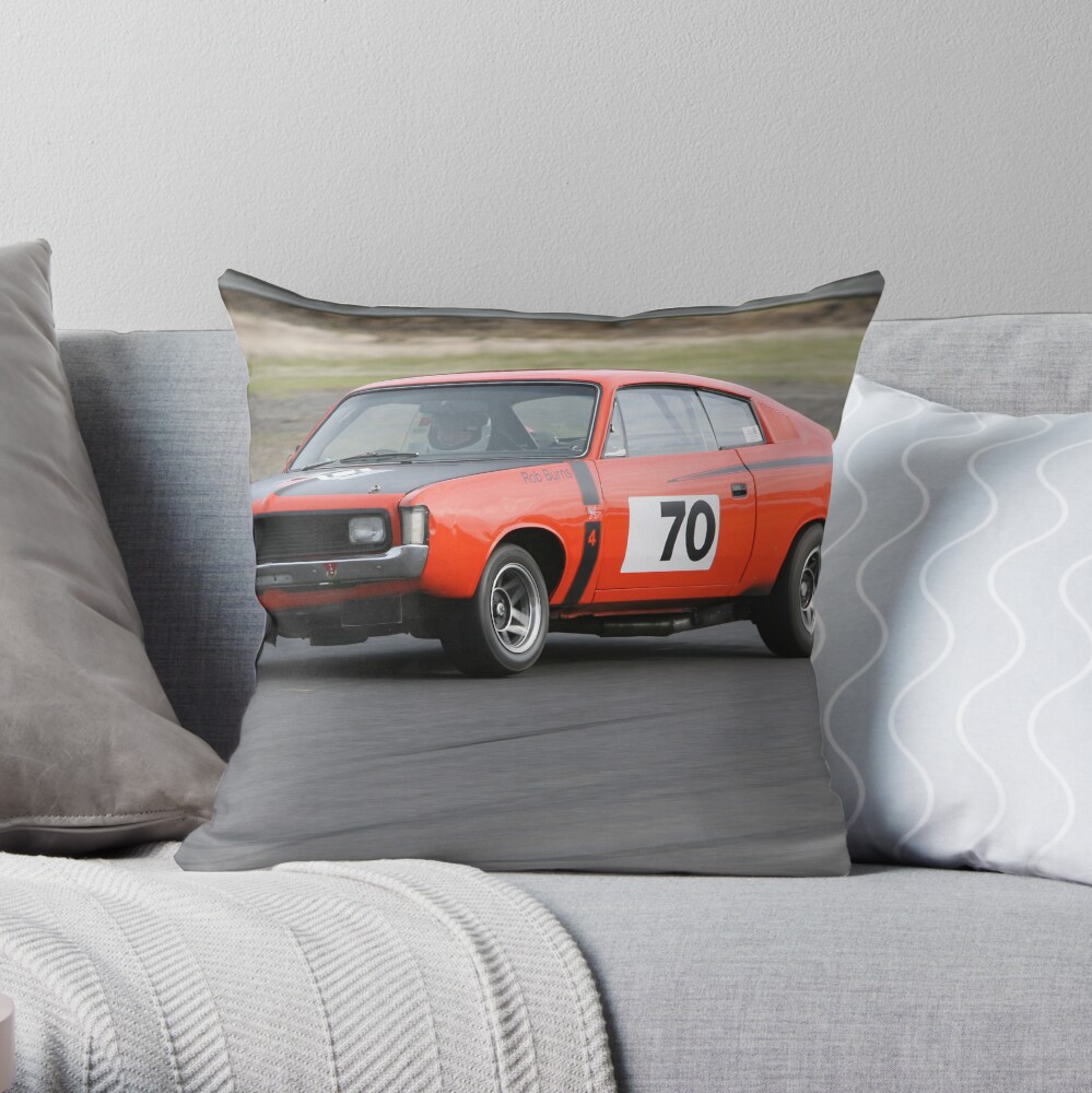 Full Tilt II Throw Pillow