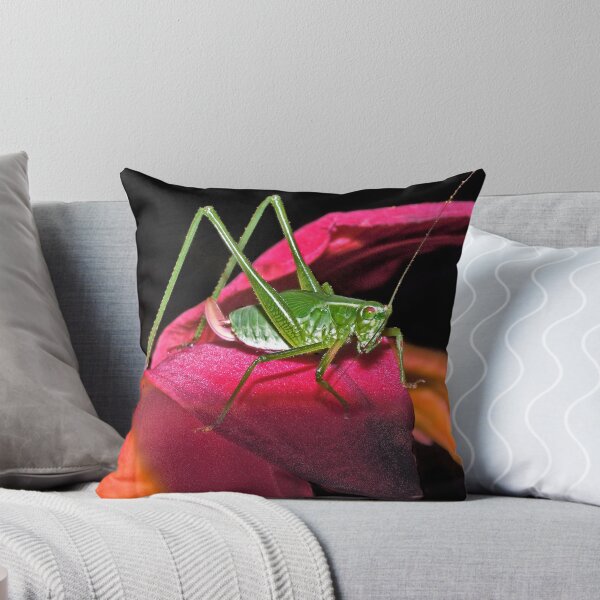Item preview, The Greening Salon ! designed and sold by robkal.