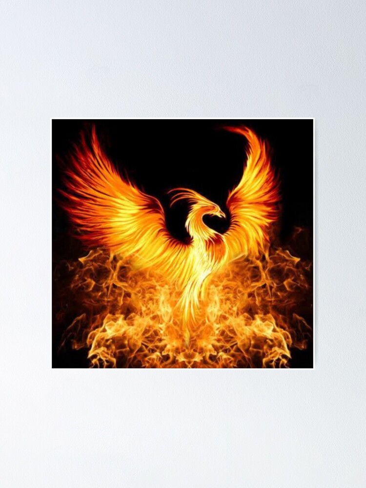 "Phoenix " Poster by Jazmyndavison96 Redbubble