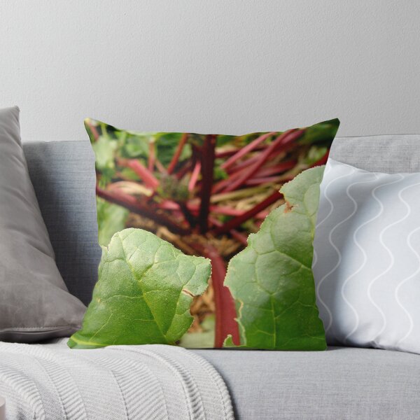 Item preview, Ruibarbo designed and sold by Northcote Community  Gardens.