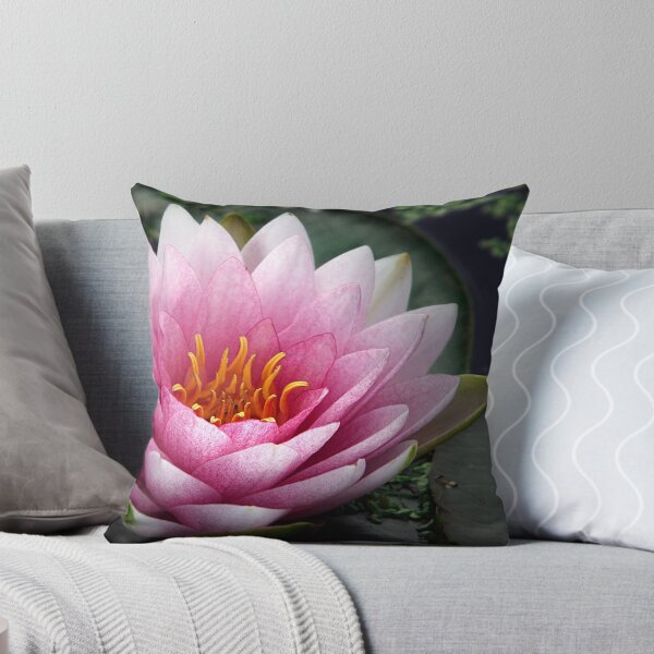 Item preview, Delicate designed and sold by Bobby McLeod.