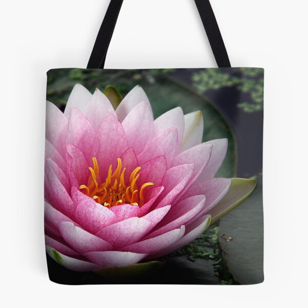 Item preview, Delicate designed and sold by Bobby McLeod.