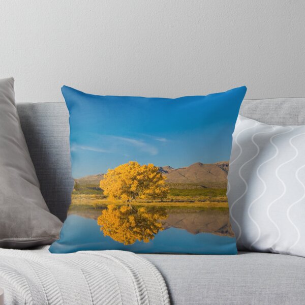 Item preview, New Mexico. Socorro. Bosque de Apache National Wildlife Refuge. designed and sold by Alan Copson Pictures.