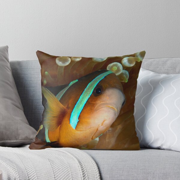 Item preview, Aggresive Anemone Fish designed and sold by MattTworkowski.