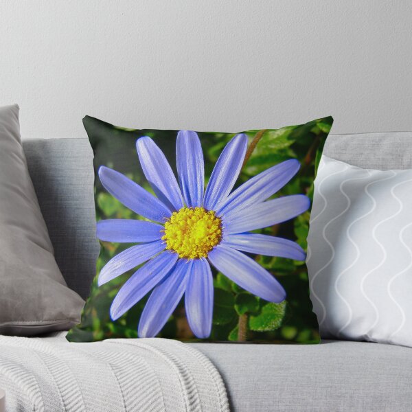 Item preview, Purple daisy designed and sold by Vic Cross.
