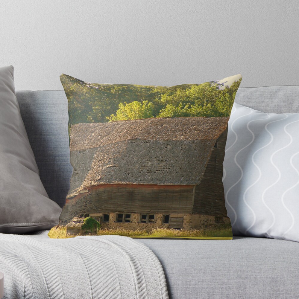 Soul Wrinkles Throw Pillow