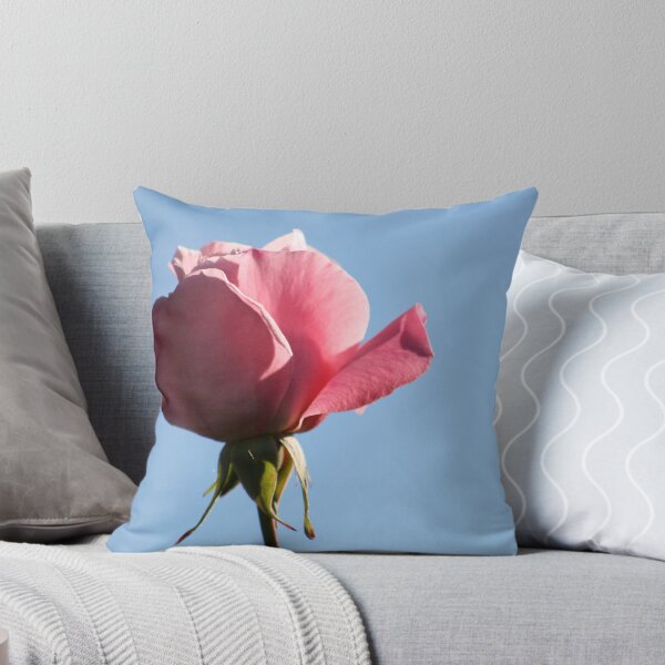 Rose against the Sky 2008 Throw Pillow