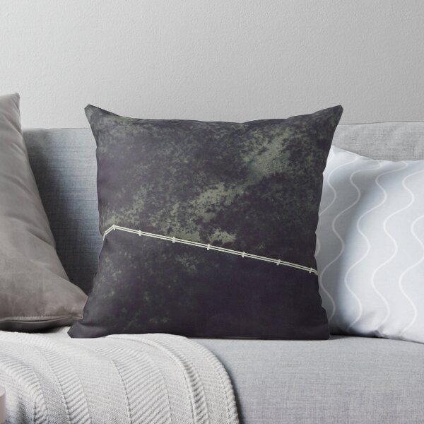 Spatial Reasoning Throw Pillow