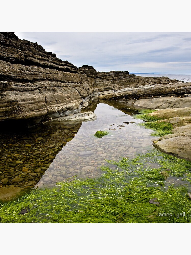 Reflecting the Tide by corwin