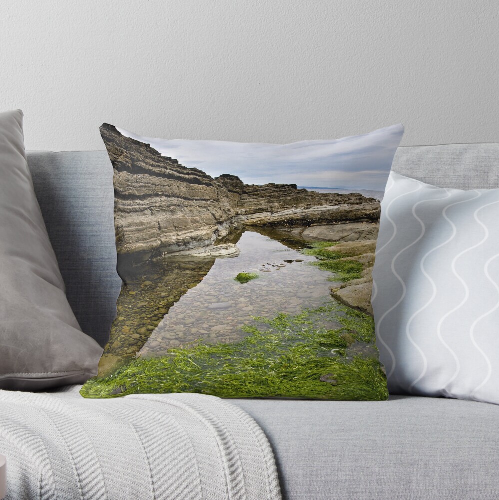 Reflecting the Tide Throw Pillow