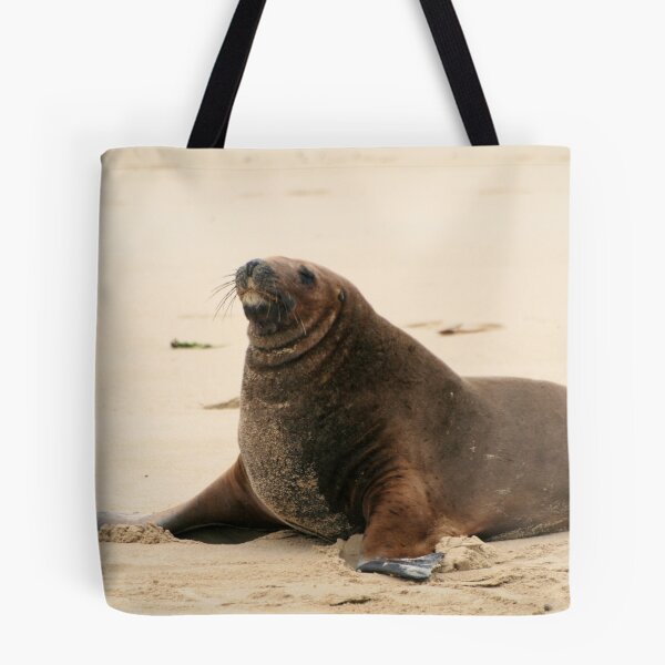 Item preview, Sea Lion  designed and sold by DRWilliams.