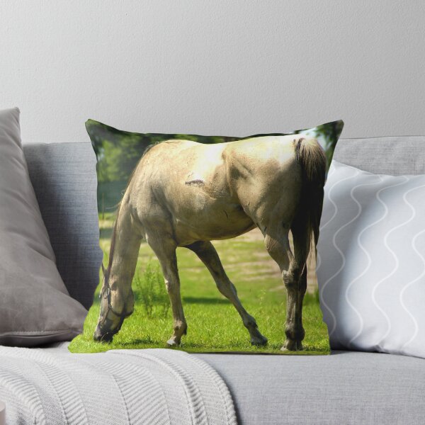 Aperçu de l'œuvre Buckskin créée et vendue par BBatten.