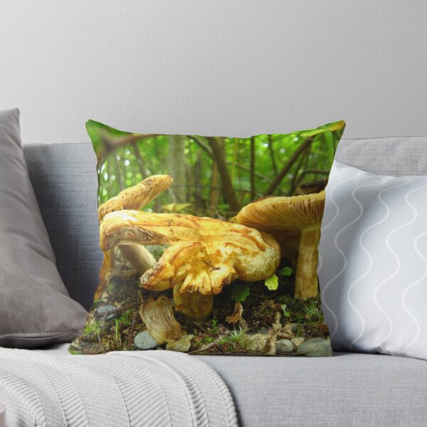 Artikelvorschau, Mushrooms Medley entworfen und verkauft von Tonee Christo.