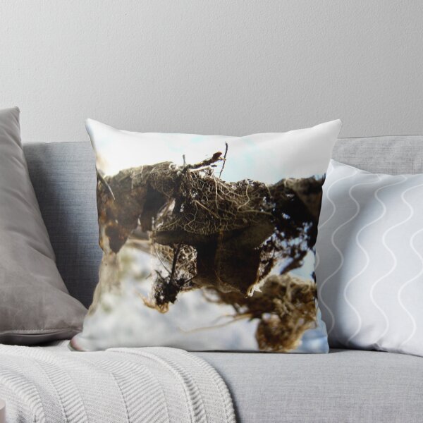 Item preview, Haunting designed and sold by Tonee Christo.