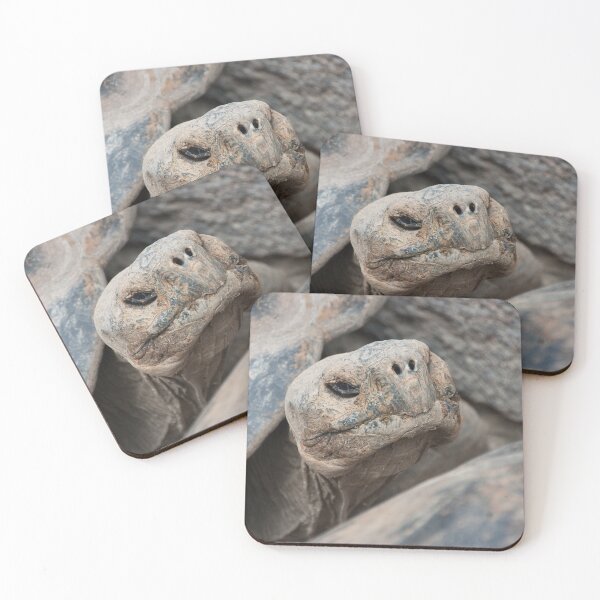 The ancient one Coasters (Set of 4)