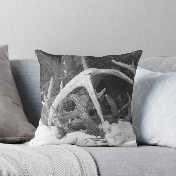 Item preview, Antlers designed and sold by Chipper.