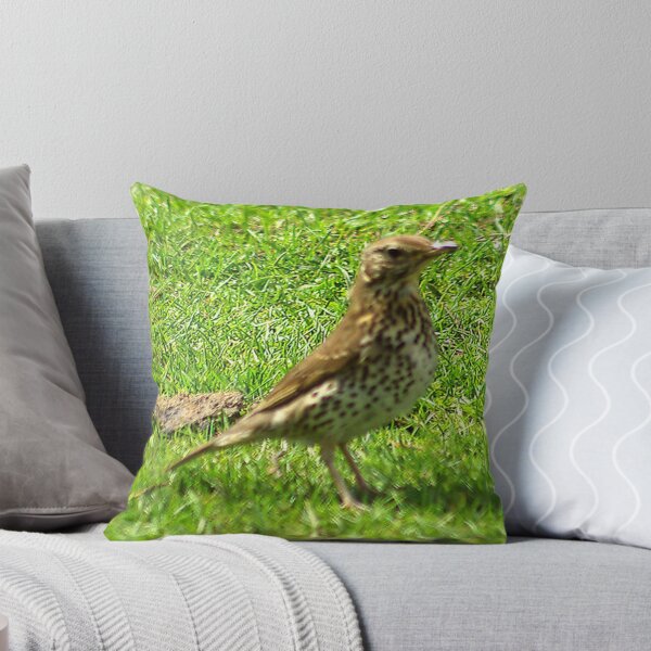 Item preview, Mistle Thrush designed and sold by Trevor Kersley.
