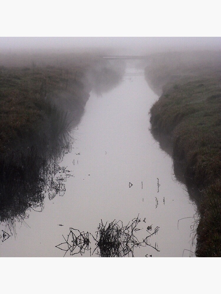 Misty Marsh by theoddshot