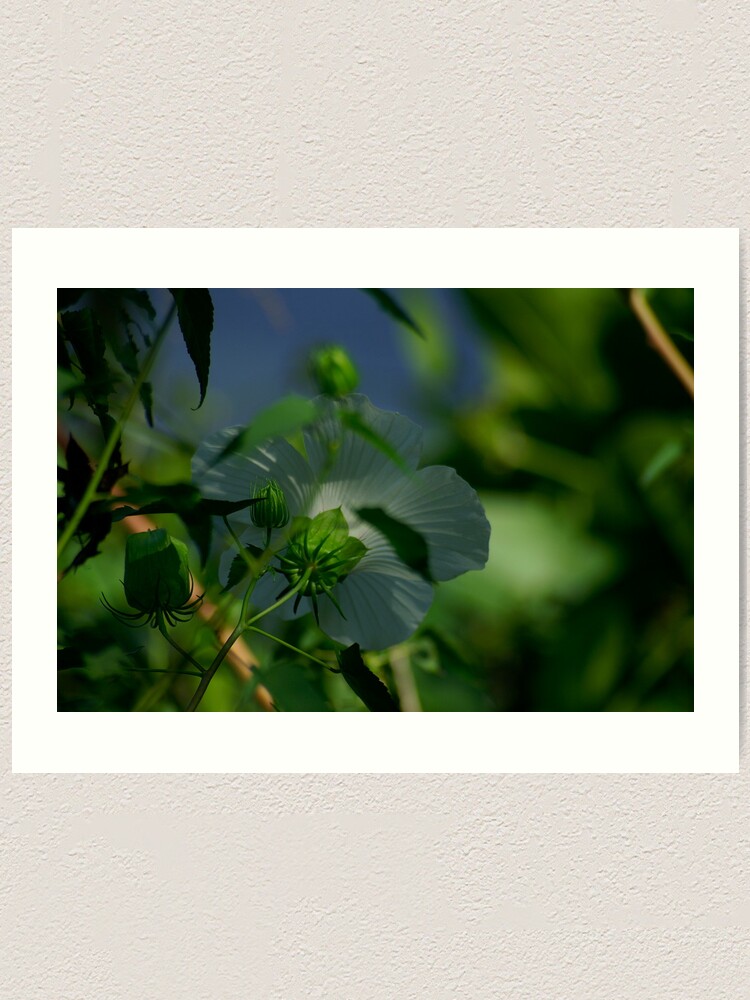 Alternate view of Flower and Puds Art Print
