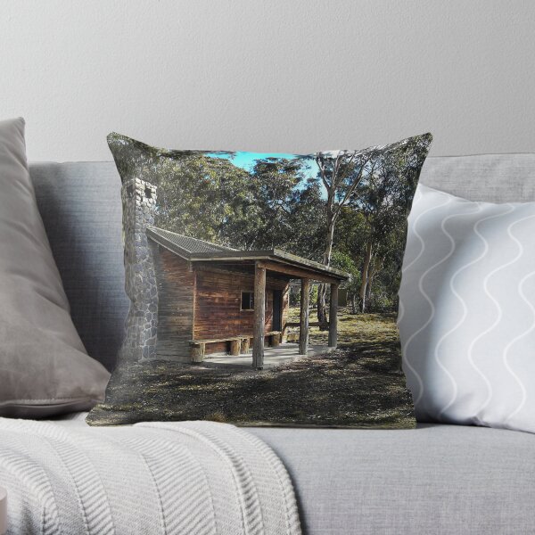 Brandy Flat Hut Throw Pillow