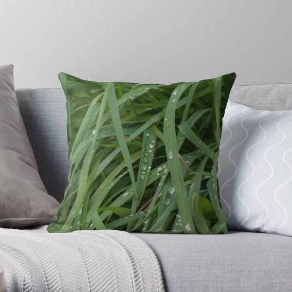 Now the Rain Has Gone Throw Pillow