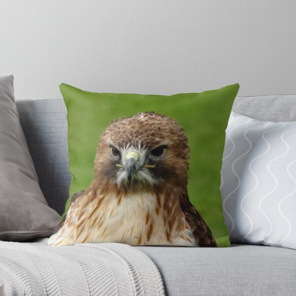 Artikelvorschau, Bird of Prey entworfen und verkauft von Trevor Kersley.
