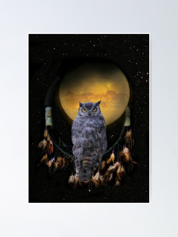 Native American Dream Catcher Owl, Moon, Horses and Stars Poster