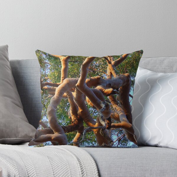 Item preview,  "Twisted' designed and sold by debsphotos.