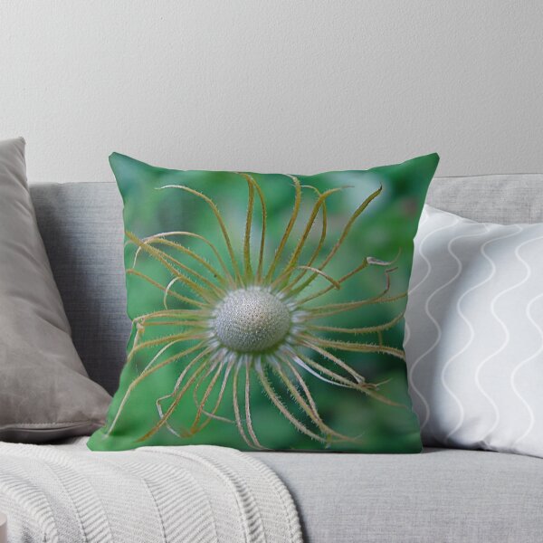 Item preview, Death of Daisy designed and sold by Katariina Lonnakko.