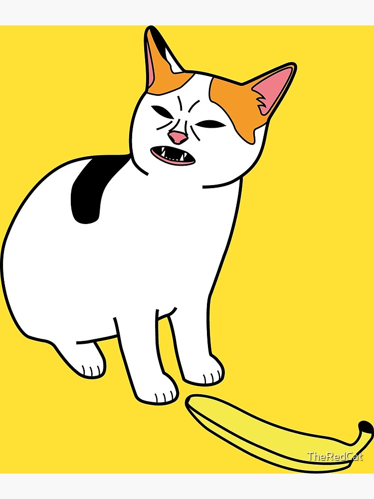 "Cat No Banana Meme" Poster by TheRedCat Redbubble