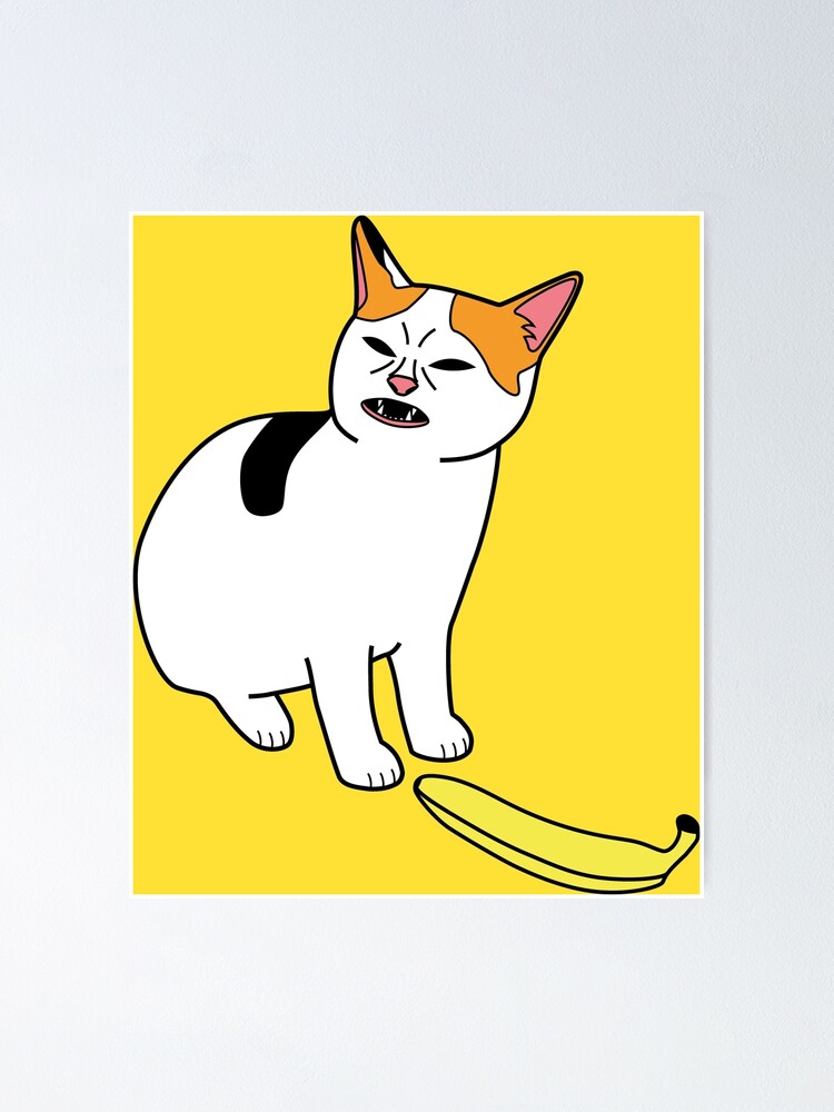 Cat No Banana Angry Cat Meme - Cat No Banana - Posters and Art Prints