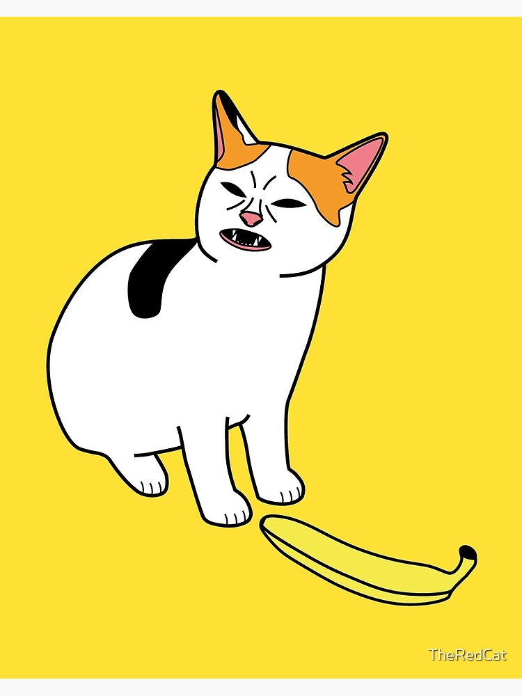 I draw the angry cat no banana meme Photographic Print for Sale