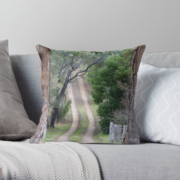 Country Road Throw Pillow