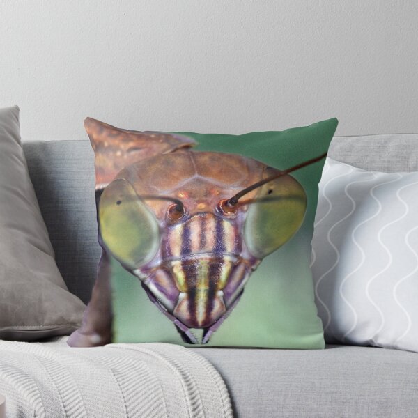 Item preview, Mantis(3) designed and sold by robkal.