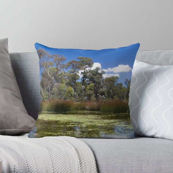Cathedral Rocks National Park Throw Pillow