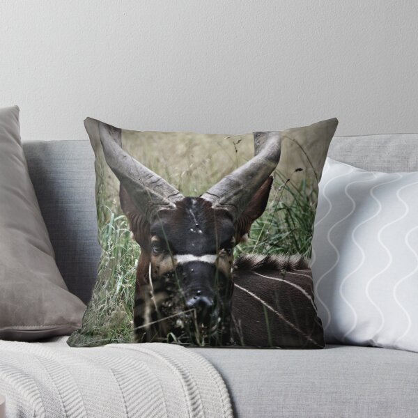Item preview, Western Bongo designed and sold by mikepom.