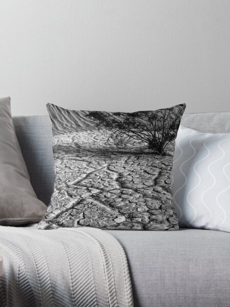 Item preview, Life in  Death Valley designed and sold by Globalphotos.