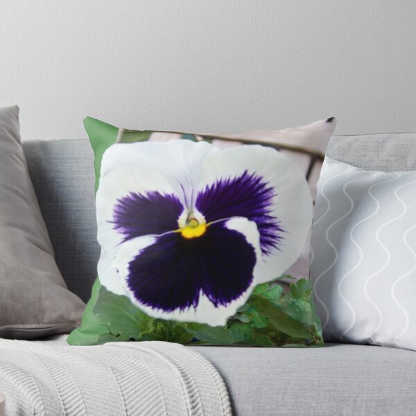Item preview,  en la guardería cerca de mi casa. Lo he editado en Photoshop ya que había algunas hojas amarillas y muertas y una etiqueta de información. Gracias por su visita designed and sold by Coloursofnature.