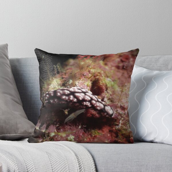 Item preview, Nudibranch designed and sold by Kristin Hamm.