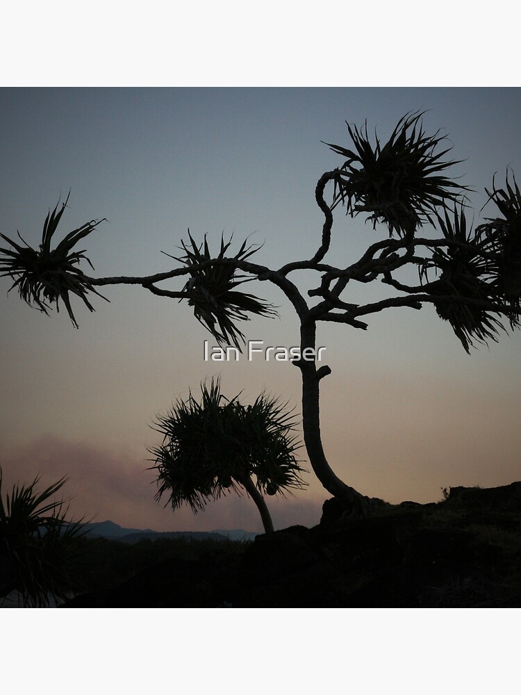 Dark Wind by Mowog