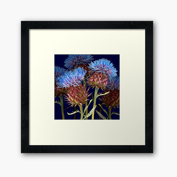 Scottish Thistle Framed Art Print