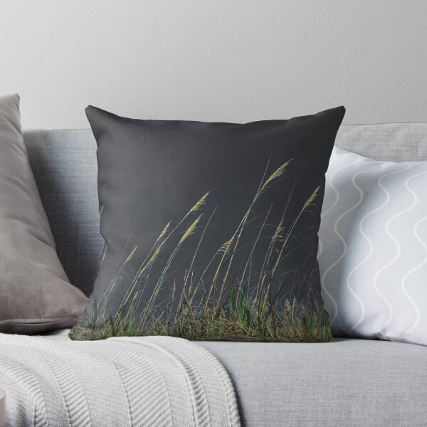 Eye of the Storm Throw Pillow
