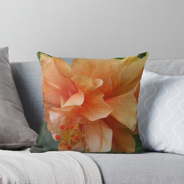 Item preview, Orange delight designed and sold by Samohsong.