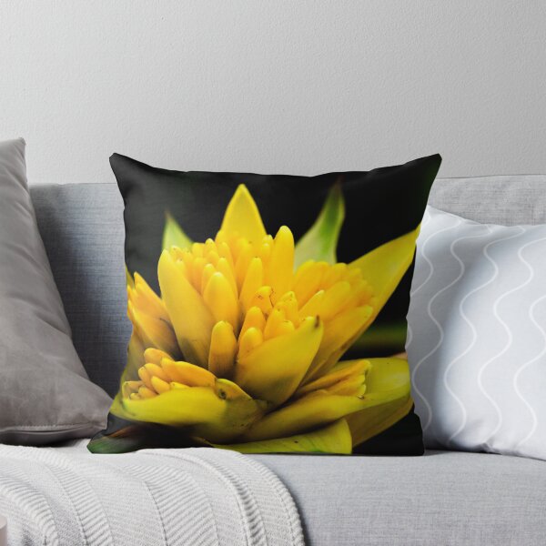 Item preview, Yellow Bromeliad designed and sold by Alison Cornford-Matheson.